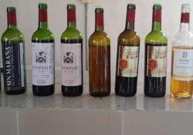 Vinos cubanos