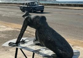 Bienal de La Habana