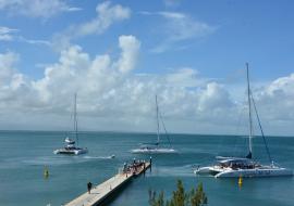 Excursión a Cayo Saetía