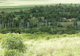 Cerro de Caisimú