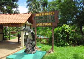 Cuba y el turismo con cocodrilos