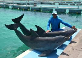 Terapia con delfines en los cayos cubanos, una manera diferente de buscar la alegría