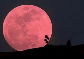 La luna rosa de abril, un espectáculo celestial único