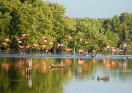 Parque Nacional Caguanes