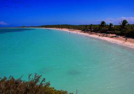 Playa Las Salinas