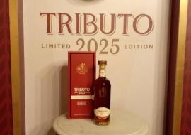 Tributo 2025 por Havana Club International