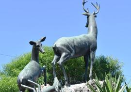 Zoológico de 26, un lugar tradicional de La Habana