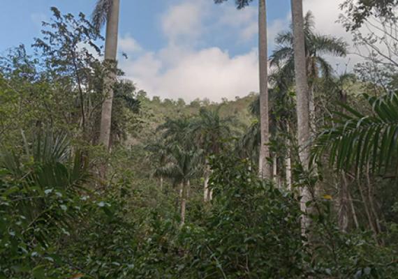 El Hondón: Un valle de maravillas en el corazón de la Sierra de Las Casas 
