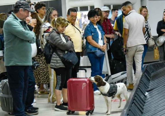 Aduana de Cuba aplica nuevas normas legales desde abril
