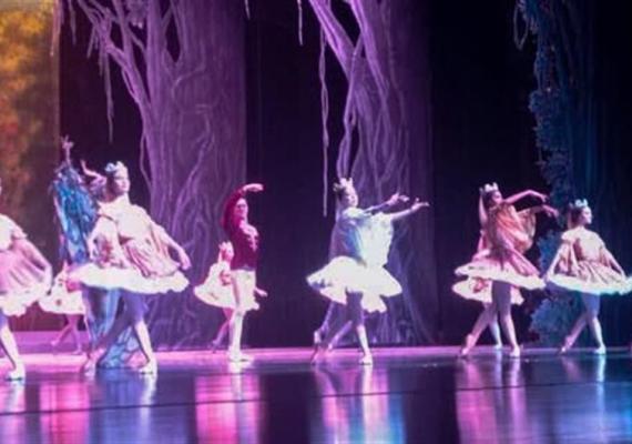 El Ballet Nacional de Cuba brilla en Zhengzhou con "El lago de los cisnes"