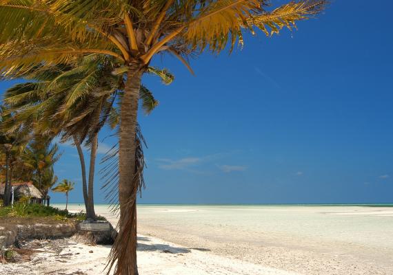 Cayo Guillermo Cuba