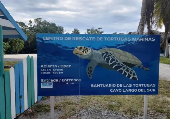 Centro de Rescate de Tortugas Marinas, Cayo Largo del Sur, Cuba