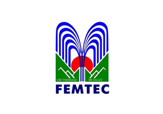 FEMTEC