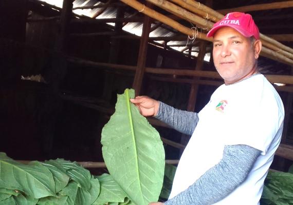 Finca El Porvenir