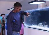 Fascinante miniacuario en Trinidad cautiva a turistas