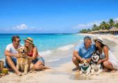 Meliá lanza programa Pet Friendly en hoteles de Cuba
