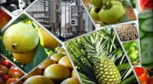 Empresa Agroindustrial Ceballos