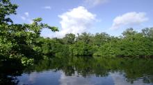 Ciénaga de Lanier 