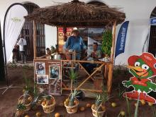 Un legado familiar de café y turismo en Cuba