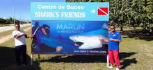 Espectáculo con tiburones, un atractivo turístico único en Cuba