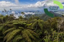 Ecotur lanza el TURNAT 2024 en ExpoCaribe