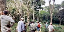 Un museo para el sitio donde cayó un meteorito en Fomento, Sancti Spíritus