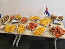 Cienfuegos presenta productos agrícolas en Marsella