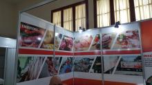 Primera feria de ganado menor en Cuba busca sustituir importaciones