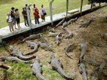 Nueva invasión a Playa Girón revela su valor turístico