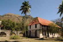 Los Caminos del Café: proyecto franco-cubano