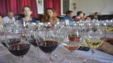 Vinos de Inversiones Pucara conquistan Varadero Gourmet