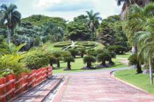 El Jardín Botánico Nacional celebra su aniversario 50