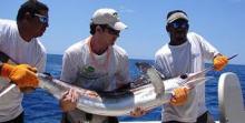 Torneo Internacional de Pesca Jardines del Rey mejora turismo náutico