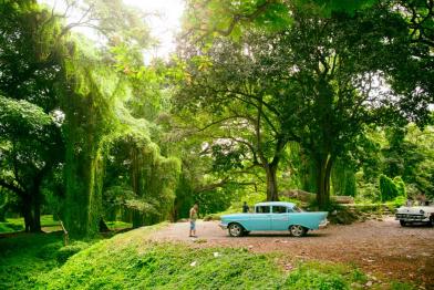 Bosque de La Habana impulsa turismo de naturaleza en Cuba