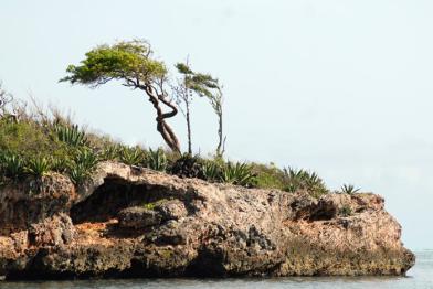 Parque Nacional Caguanes