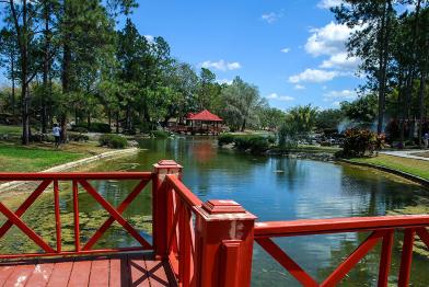 Explora el corazón verde de La Habana en un viaje inolvidable