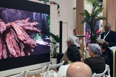 FITUR 2026: El occidente de Cuba, entre naturaleza, playas y ciudades emblemáticas